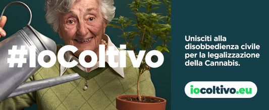 #IoColtivo: il 20 aprile al via la disobbedienza civile per l’autoproduzione di cannabis