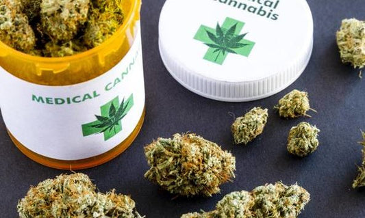 La marijuana terapeutica per il dolore cronico