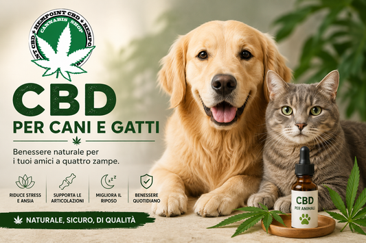 CBD per Cani e Gatti: Benefici, Utilizzi e Cosa Sapere Prima di Sceglierlo