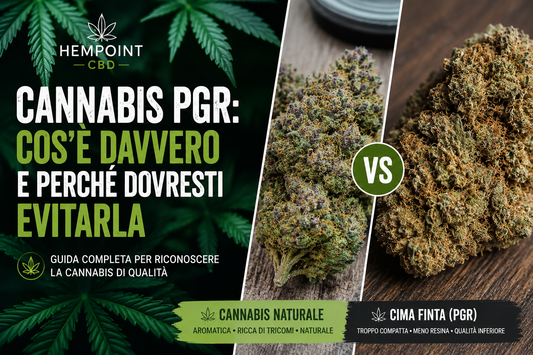 Cannabis PGR: Cos’è, Come Riconoscerla e Perché Evitarla