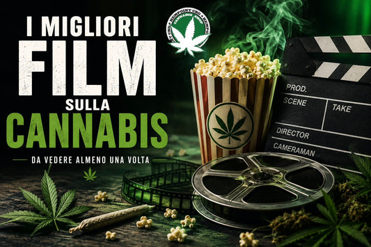 I migliori film sulla cannabis da vedere almeno una volta