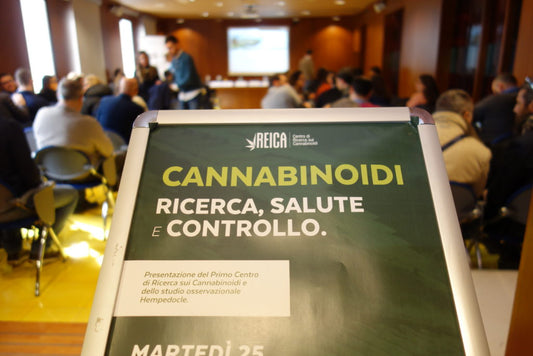 In campania la prima coltivazione sperimentale di cannabis terapeutica