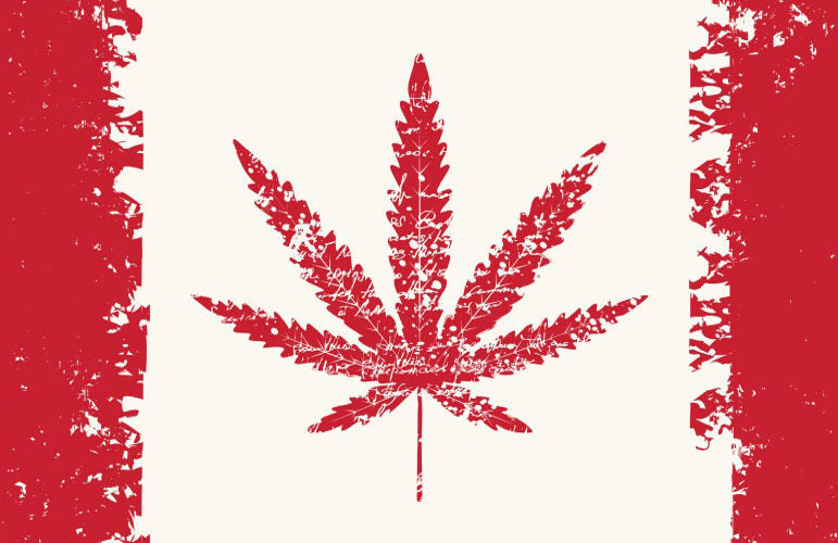 Per la prima volta il mercato legale della cannabis in Canada supera quello illegale