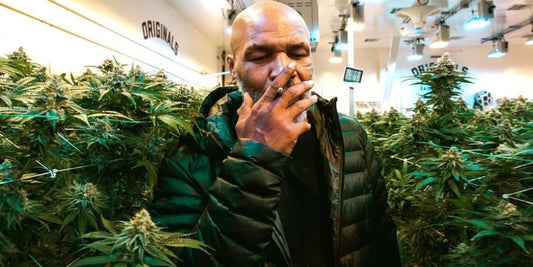 Grande Mike: “Quanto fumiamo al mese? Circa 40 mila dollari di marijuana”