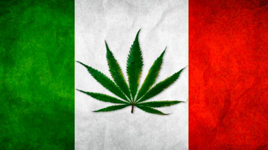 Nasce in Parlamento un nuovo intergruppo per la legalizzazione della cannabis
