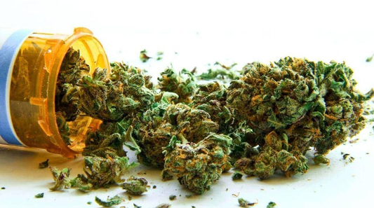 Il Ministero legalizza la vendita della Cannabis Light