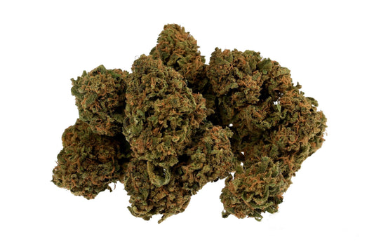 Greenhouse - Orange Bud - CBD 15% THC 0,4% - HEMPOINT CBD 